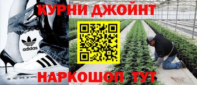 дживик Кунгур
