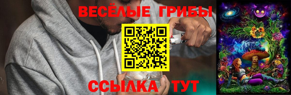 Псилоцибиновые грибы ЛСД  Вход с VPN  Йошкар-Ола 